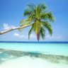Profilbild von palm tree studio🏝
