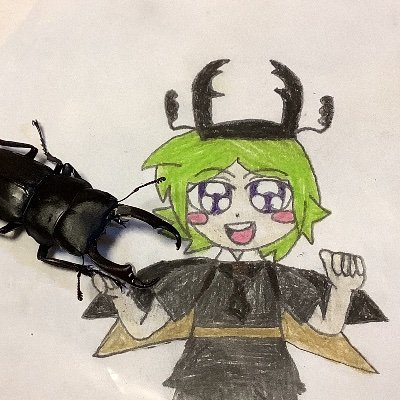 kokuwagata46's profile picture