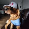 Фото профиля Jay Sometimes Tweets