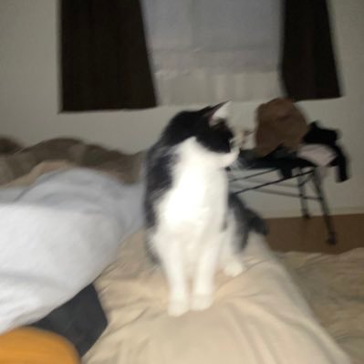 はむ's profile picture