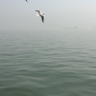 truth writes's profile picture