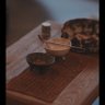 Фото профиля 年华似水流