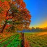 Tahani profil fotoğrafı