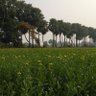Profilbild von आम आदमी