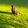 D's profile picture