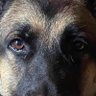 Profilbild von MJ