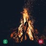 ناقوس🇸🇦's profile picture