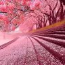 Фото профиля اختلاف الرأي لا يفسد للود قضية