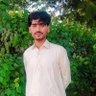 ali ahmed's profile picture