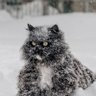 Фото профиля Наташа...
