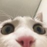 Profilbild von emaa
