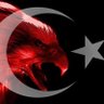 İsmail Tarhan's profile picture