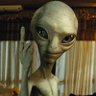 sergio's profile picture