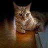 Profilbild von Inf_vit