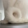 Profilbild von F14tomcat