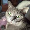 Betsy Stahl's profile picture