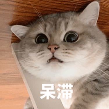liYUANhao912's profile picture