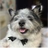Tranky Gómez's profile picture
