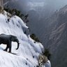 ElephantsRKewl profil fotoğrafı