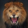 Profilbild von Mehmet
