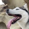 Tony's profile picture