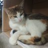 Фото профиля ハルきー