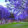 Фото профиля ابوفيصل
