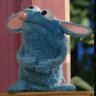 Profilbild von Felipe