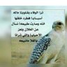 Фото профиля أ/ راشد المري