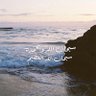سلمان المطيوي 的头像
