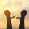 Thought For Freedom's profile picture