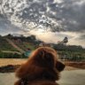 Bumolg. profil fotoğrafı