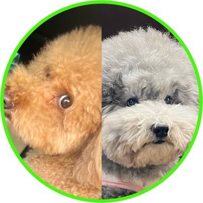 レノン&れある's profile picture