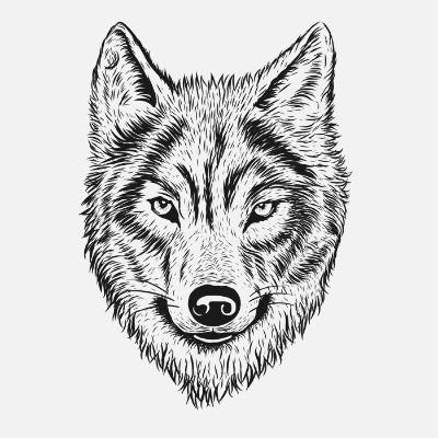 Wolf lovers world's profile picture
