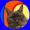シバ profil fotoğrafı