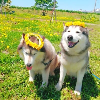 Cwfojync2viN7wF's profile picture