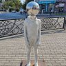 Emil's profile picture