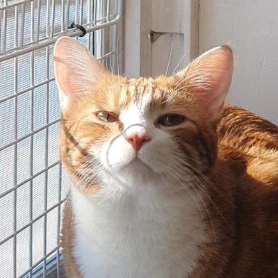Light_SoGeum's profile picture
