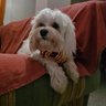 Pura Vida's profile picture