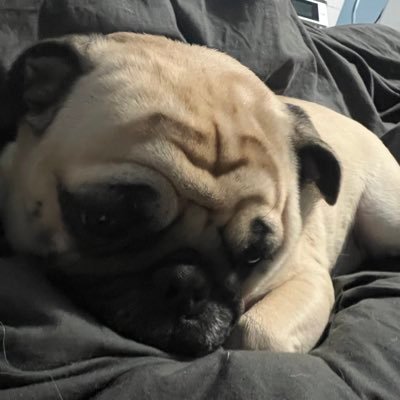 mayrushart's profile picture