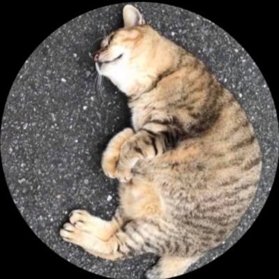 鰤's profile picture
