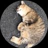 鰤's profile picture