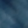 A Ws's profile picture
