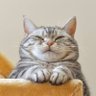 เป็นคนมันเศร้า เป็นแมวดีกว่า เหมียวววว's profile picture