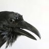 Фото профиля saw_/a.ş.