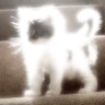 𝓌𝒽𝑜𝓇𝑒 𝒹’𝑜e𝓊𝓋𝓇𝑒's profile picture