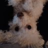 Profilbild von BetterOffCute