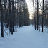 Фото профиля Batzorig Millenial