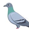 Profilbild von PXP