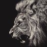 Фото профиля Adam Apicella